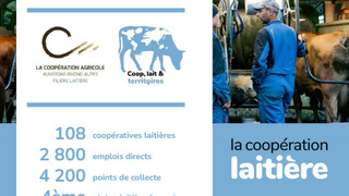 L’Auvergne-Rhône-Alpes, une terre de lait et d’innovation.